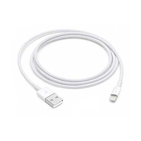 Apple Lightning To USB Cable 2 Meters For Iphone - White | MD819